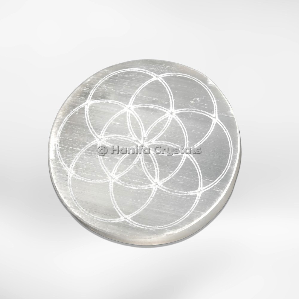 Seed Of Life Selenite Charging Cercle